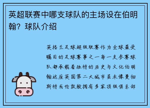 英超联赛中哪支球队的主场设在伯明翰？球队介绍